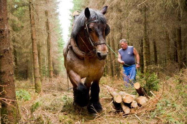 Tirage 80x60cm "Fine Art"